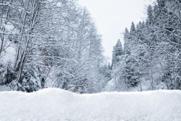 Obraz premium Snowdrift against trees in winter forest, selective focus