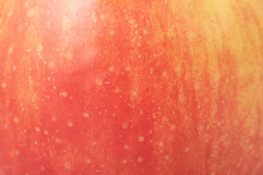 Yellow with red apple as background. Apple skin macro photo.