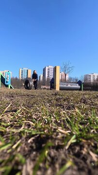 Woman playing fetch with mongrel dog on outdoor playground. Active walk with pet where a dog runs after a toy and brings it back to the owner.