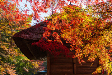 日本の風景・秋　岩手県平泉町　紅葉の世界遺産中尊寺　弁財天堂