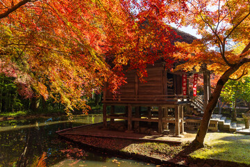 日本の風景・秋　岩手県平泉町　紅葉の世界遺産中尊寺　弁財天堂