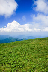 Fototapeta premium 伊吹山