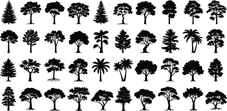 Tree Silhouette Collection with Various Forest, Pine, Palm and Deciduous Trees Isolated in Black for Nature Landscape Design and Woodland Projects