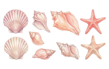 Obraz premium Watercolor seashell and starfish collection for coastal beach design