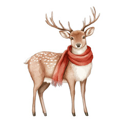 Fototapeta premium Watercolor Christmas deer in red scarf on white background