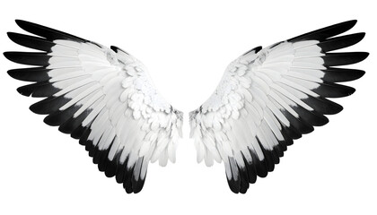 Obraz premium Duality Balance Wings Light & Dark Harmony of black and white angel wings mockup isolated on transparent background