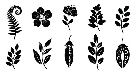 A collection of various leaf designs showcasing nature's intricate patterns and shapes © Raju