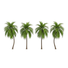 Obraz premium Four lush green palm trees with textured fronds and brown trunks isolated on a transparent background