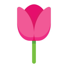 Fototapeta premium A single pink tulip flower stands tall on a green stem.