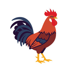 A colorful rooster stands proudly against a white background.