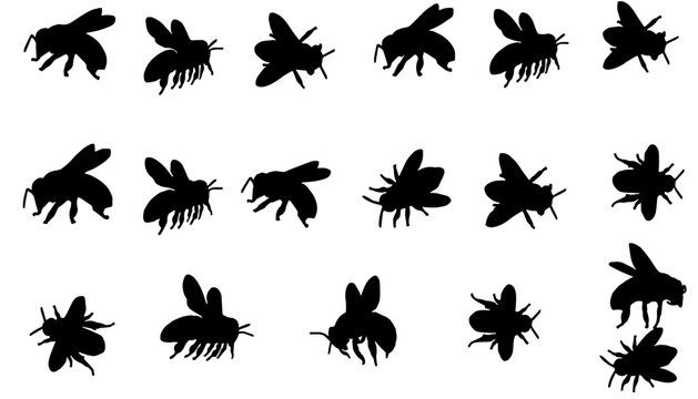Honey bee silhouette vector design set
