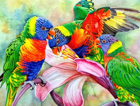 Vibrant Lorikeets Perched on a Branch with a Flower