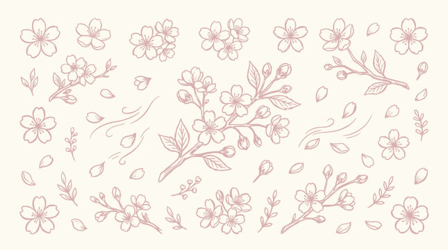 A delicate hand-drawn illustration of cherry blossom branches and petals in a soft pink hue on a cream background, featuring various stages of bloom and falling petals.