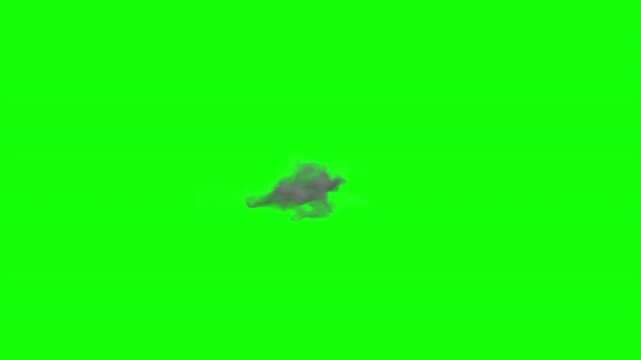 Realistic smoke puff loop on green screen background, 300 frames seamless loop