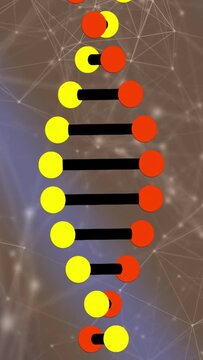 Vertical video: Helix chain entering UL, sliding diag, twisting, swapping nodes on nebula for tech