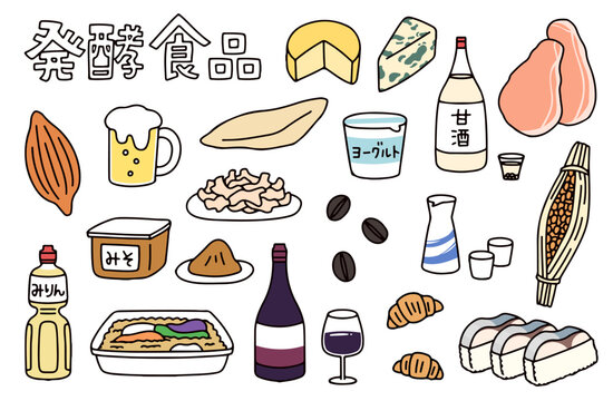 ビールや味噌などのさまざまな発酵食品のイラストセット