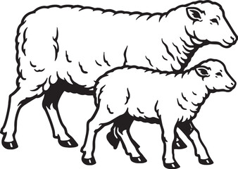 Obraz premium Sheep Flock Two Animals Walking Side Black And White Line Art Illustration