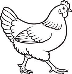 Fototapeta premium Hen Walking Forward Side Stride Pose Black and White Line Art Illustration