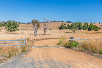 Dry Summer Countryside under a Blue Sky
