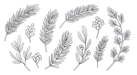 Obraz premium Hand-drawn collection of various evergreen branches and winter foliage elements.