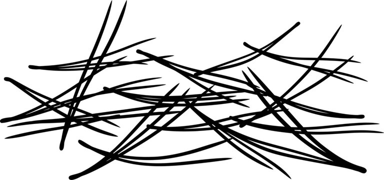 Scattered pine needles pattern for natural texture background