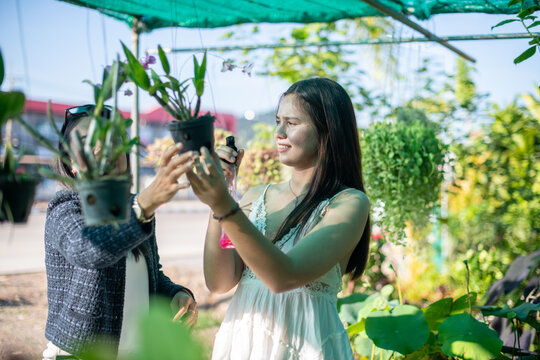 Young Woman Standing and Reaching Up to Touch a Hanging Potted Plant