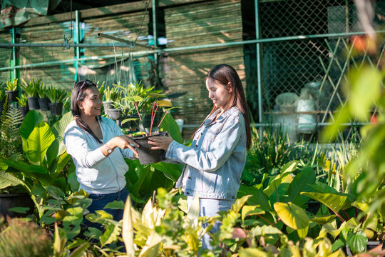Young Woman Standing and Reaching Up to Touch a Hanging Potted Plant