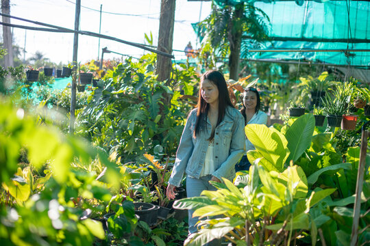 Young Woman Standing and Reaching Up to Touch a Hanging Potted Plant