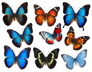 A collection of colorful butterflies on a white background (4)