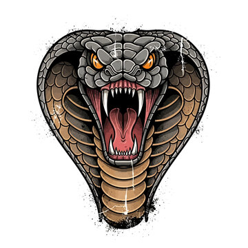 Aggressive Cobra Snake Head With Open Mouth and Fangs