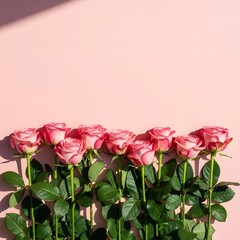 Fototapeta premium A row of pink roses on a pink background with green leaves and stems
