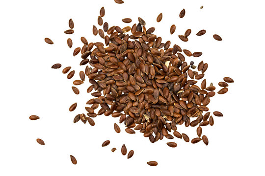 pignut seed isolated on a transparent background, aromatic spice ingredient