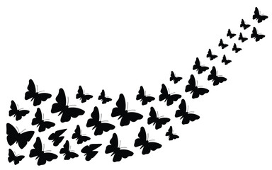 Black butterfly silhouette cluster in upward motion