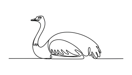 Fototapeta premium One continuous line illustration of an ostrich bird , isolated on white background.