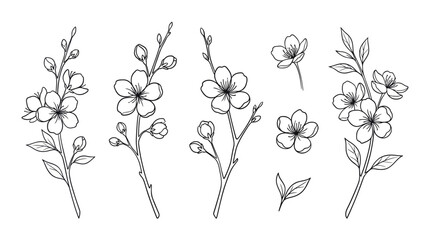 Fototapeta premium Black and white botanical illustration of flowering stems with blossoms and leaves, a detailed line drawing for nature art and botanical study.