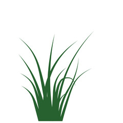 Fototapeta premium Green Grass Plant Illustration Isolated on Transparent Background