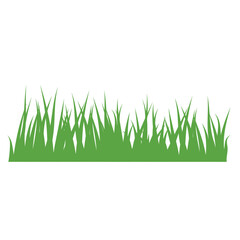 Obraz premium Green Grass Border Illustration Isolated on Transparent Background