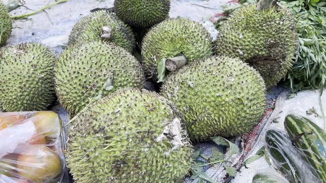 Fresh Harvested Kluwih or Breadnut Fruit (Artocarpus camansi) at Traditional Market