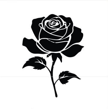 A vintage red rose vector illustration featuring a blooming flower bud and green leaf on a black background creates a nature inspired floral design perfect for art and ornament decoration