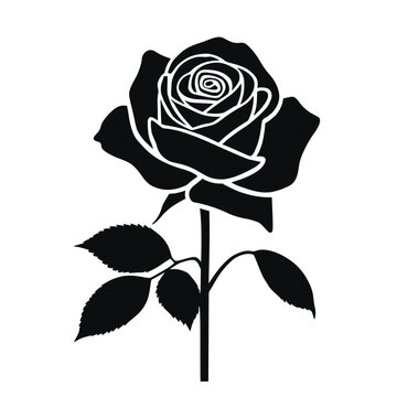 A beautiful red rose blossom with a single green leaf and stem is isolated on a black background as a romantic floral vector illustration for a Valentine gift of love and nature