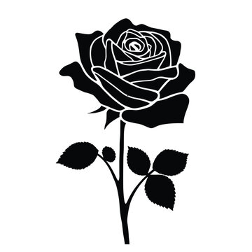 A beautiful red rose blossom with a single green leaf and stem is isolated on a black background as a romantic floral vector illustration for a Valentine gift of love and nature