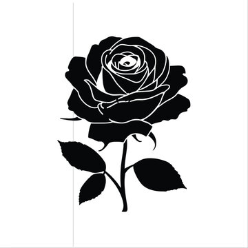 A beautiful red rose blossom with a single green leaf and stem is isolated on a black background as a romantic floral vector illustration for a Valentine gift of love and nature