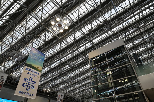 New Chitose Airport terminal.