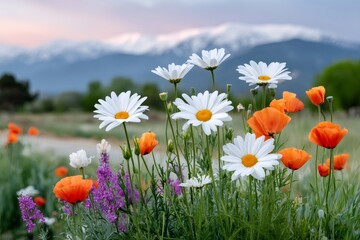 Obraz premium Wildflowers blooming in alpine meadow with snowy mountains