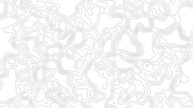 Topographic Contour Map Background | Minimal Gray Terrain Line Pattern