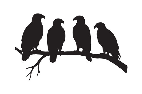 4 eagle sitting in branch vector silhouette an white background
