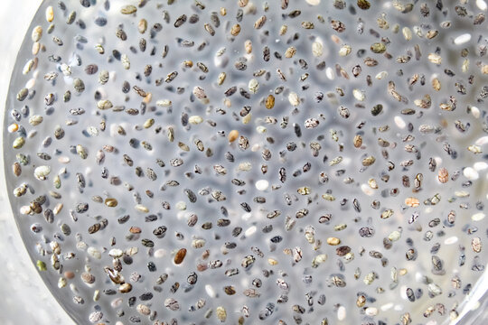 close up of chia seeds and water in a glass