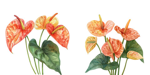 anthurium flowers watercolor vector illustration © Dar