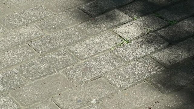 Close-up view of a weathered gray brick sidewalk with an abstract background pattern of shadows and sunlight