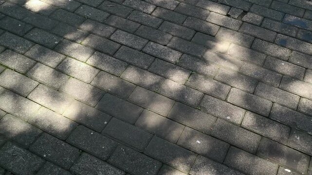 Close-up view of a dark gray brick sidewalk with an abstract background pattern of tree shadows